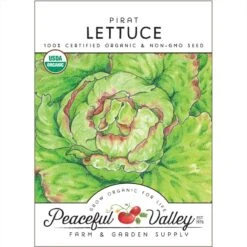 Pirat Lettuce Seeds (Organic)