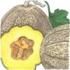 Organic Melon, Hearts Of Gold (1/4 Lb) -JulboCorona Trees Store organic melon hearts of gold 1 4 lb