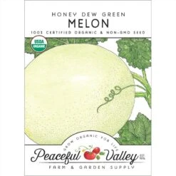 Honeydew Green Flesh Melon Seeds (Organic)