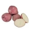 Fall-Planted Organic Norland Red Seed Potatoes (lb) -JulboCorona Trees Store organic norland red seed potatoes lb