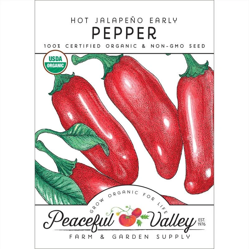 Hot Jalapeo Early Pepper Seeds (Organic) 3 Hot Jalapeo Early Pepper Seeds (Organic)