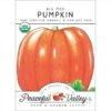 Big Max Pumpkin Seeds (Organic) -JulboCorona Trees Store organic pumpkin big max