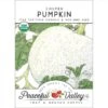 Casper Pumpkin Seeds (Organic) -JulboCorona Trees Store organic pumpkin casper