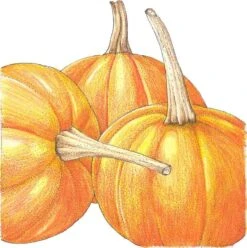 Organic Pumpkin, Small Sugar (1/4 Lb)