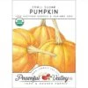 Small Sugar Pumpkin Seeds (Organic) -JulboCorona Trees Store organic pumpkin small sugar