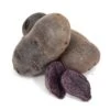 Fall-Planted Organic Purple Majesty Seed Potatoes (lb) -JulboCorona Trees Store organic purple majesty seed potatoes lb