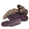 Fall-Planted Organic Purple Peruvian Fingerling Seed Potatoes (lb) -JulboCorona Trees Store organic purple peruvian fingerling seed potatoes lb