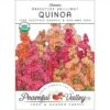 Brightest Brilliant Quinoa Seeds (Organic) -JulboCorona Trees Store organic quinoa brightest brilliant