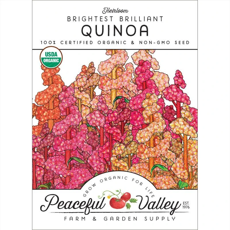 Brightest Brilliant Quinoa Seeds (Organic) 3 Brightest Brilliant Quinoa Seeds (Organic)