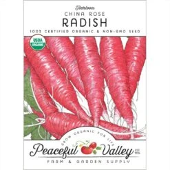 China Rose Radish Seeds (Organic)