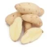 Fall-Planted Organic Russian Banana Fingerling Seed Potatoes (lb) -JulboCorona Trees Store organic russian banana fingerling seed potatoes lb