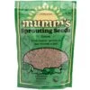 Organic Sandwich Sprouting Seed Mix (8.8 Oz) -JulboCorona Trees Store organic sandwich sprouting seed mix 8 8 oz