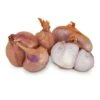 Organic Shallots, French Red (lb) -JulboCorona Trees Store organic shallots french red lb