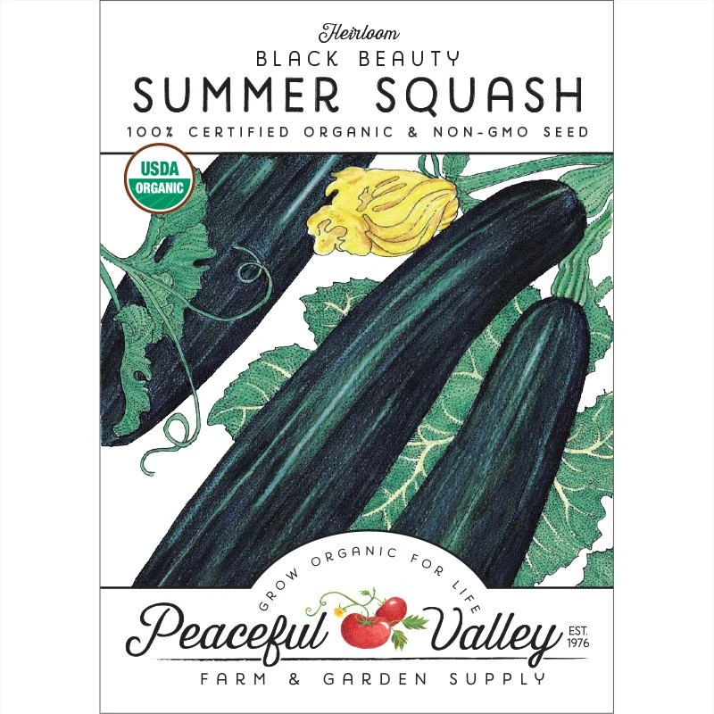 Black Beauty Summer Squash Seeds (Organic) 3 Black Beauty Summer Squash Seeds (Organic)