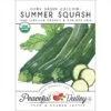 Dark Green Zucchini Summer Squash Seeds (Organic) -JulboCorona Trees Store organic squash summer dark green zucchini