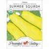 Early Straightneck Summer Squash Seeds (Organic) -JulboCorona Trees Store organic squash summer early straightneck