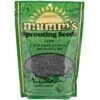 Organic Sunflower Sprouting Seeds (5.3 Oz) -JulboCorona Trees Store organic sunflower sprouting seeds 5 3 oz