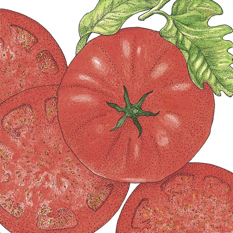 Organic Tomato, Beefsteak (1 Oz) 3 Organic Tomato, Beefsteak (1 Oz)