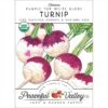 Purple Top White Globe Turnip Seeds (Organic) -JulboCorona Trees Store organic turnip purple top white globe