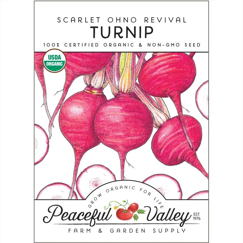 Scarlet Ohno Revival Turnip Seeds (Organic) 3 Scarlet Ohno Revival Turnip Seeds (Organic)