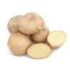 Fall-Planted Organic Yellow Finn Seed Potatoes (lb) -JulboCorona Trees Store organic yellow finn seed potatoes lb