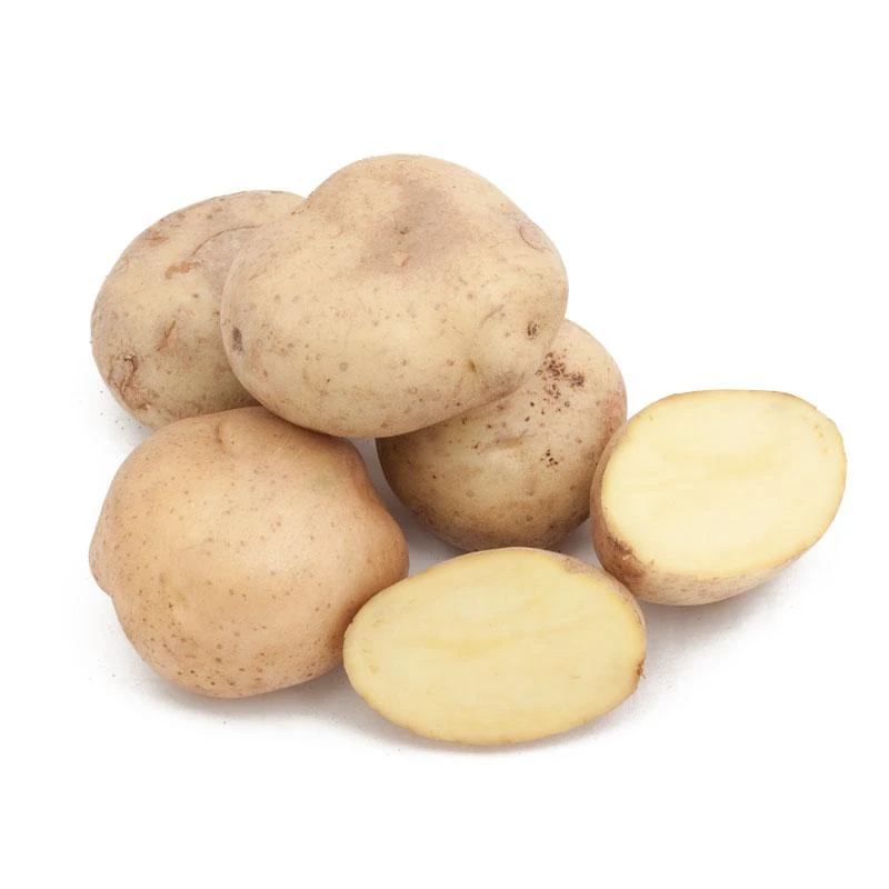 Fall-Planted Organic Yellow Finn Seed Potatoes (lb) 3 Fall-Planted Organic Yellow Finn Seed Potatoes (lb)