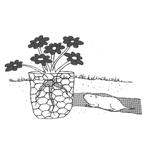 Gopher Wire (4' X 100' Roll) 4 Gopher Wire (4' X 100' Roll) - Image 2