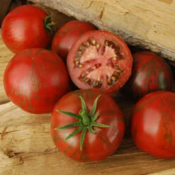 Pink Boar Tomato Seeds (Organic) -JulboCorona Trees Store pink boar web