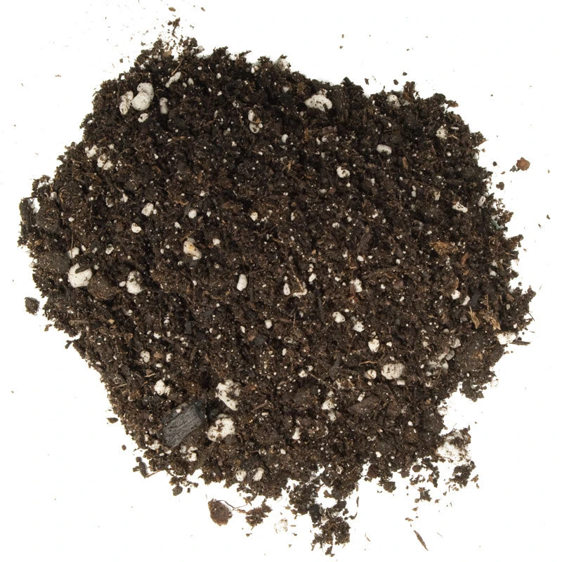 Foxfarm Ocean Forest Potting Soil (1.5 Cu Ft) 4 Foxfarm Ocean Forest Potting Soil (1.5 Cu Ft) - Image 2