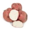 Red Pontiac Potato (Organic) -JulboCorona Trees Store red pontiac organic potato lb