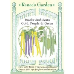 Renee's Garden Bean Bush Tricolor Gold Purple & Green