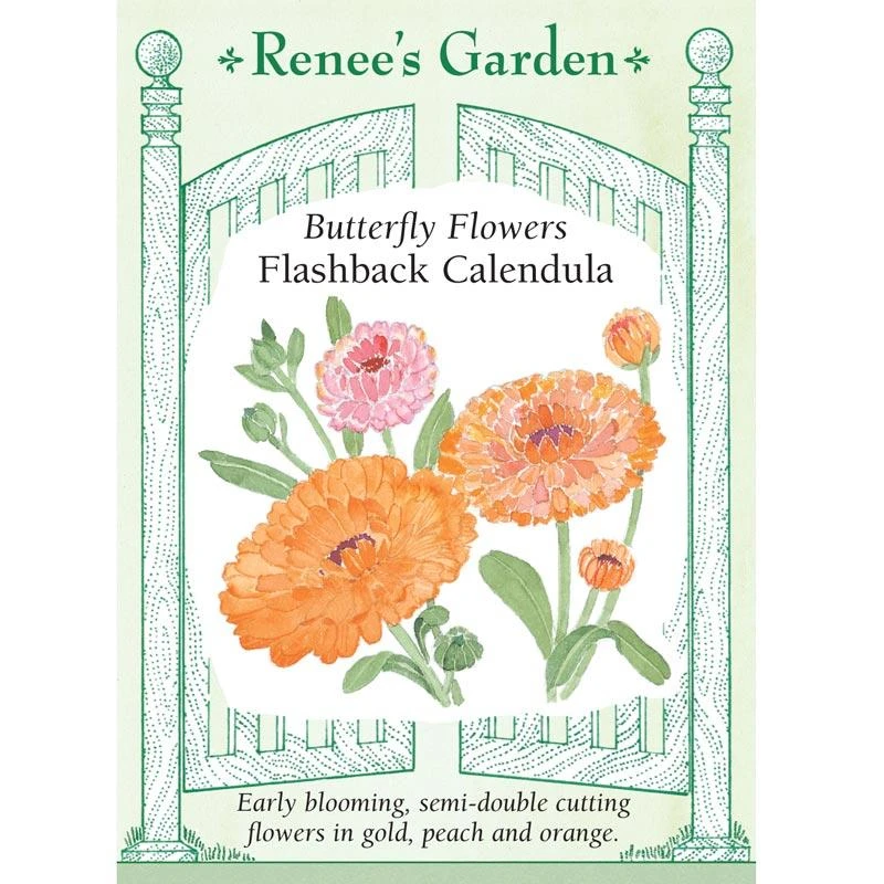 Renee's Garden Calendula Butterfly Flashback (Heirloom) 3 Renee's Garden Calendula Butterfly Flashback (Heirloom)