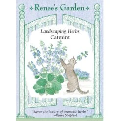 Renee's Garden Catmint