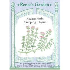 Renee's Garden Creeping Thyme
