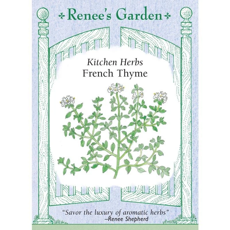Renee's Garden French Thyme 3 Renee's Garden French Thyme