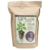 Replacement Q-Plugs For The Quick Start Growing Kit (pack Of 55) 2 Replacement Q-Plugs For The Quick Start Growing Kit (pack Of 55) -JulboCorona Trees Store replacement q plugs for the quick start growing kit pack of 55