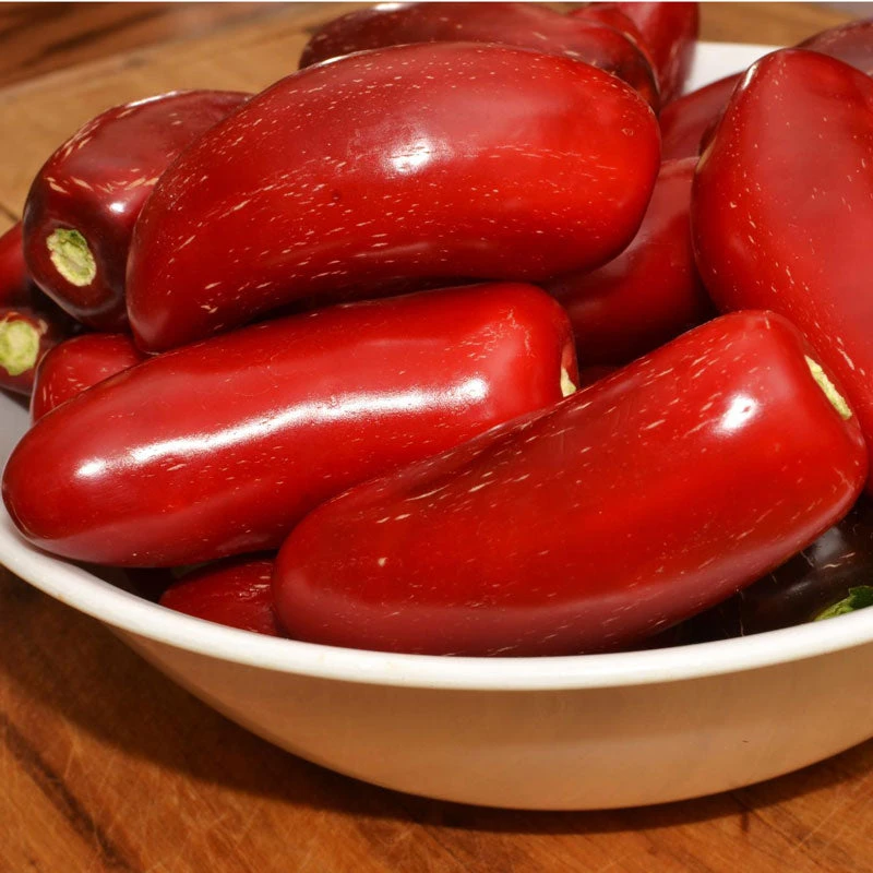 Hot Jalapeo Early Pepper Seeds (Organic) 5 Hot Jalapeo Early Pepper Seeds (Organic) - Image 3