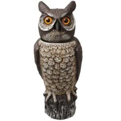 Rotating Head Owl