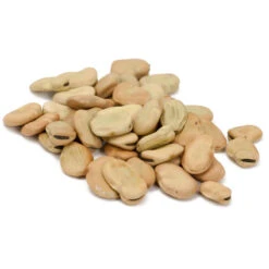 Organic Bean, Fava Broad Windsor (1/2 Lb) -JulboCorona Trees Store scl705 cat 1