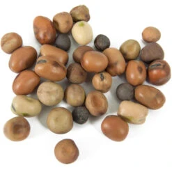 Peaceful Valley Nitro-Max Plow Down Mix Seed (lb) -JulboCorona Trees Store scm360 1