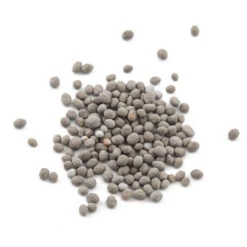 Peaceful Valley Easy Care Cover Crop Mix - Nitrocoated Seed (lb) -JulboCorona Trees Store scm760 1 1