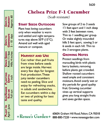 Renee's Garden Cucumber English Chelsea Prize 4 Renee's Garden Cucumber English Chelsea Prize - Image 2