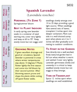 Renee's Garden Spanish Lavender Purple Ribbons -JulboCorona Trees Store snv4093 pb 1