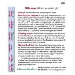 Renee's Garden Hibiscus Zinger Herbal Tea -JulboCorona Trees Store snv4182 c