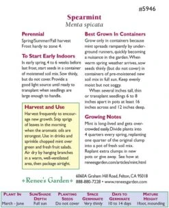 Renee's Garden Spearmint Italian (Heirloom) -JulboCorona Trees Store snv4226 c