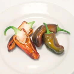 Chocolate Sweet Pepper Seeds (Organic) -JulboCorona Trees Store snv8133 2267 web