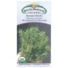 Strictly Medicinal Organic Summer Savory -JulboCorona Trees Store strictly medicinal organic summer savory
