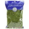 SuperMoss Preserved Sheet Moss (8 Oz) -JulboCorona Trees Store supermoss preserved sheet moss 8 oz