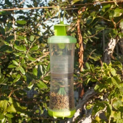 Reusable W-H-Y Trap With Attractant -JulboCorona Trees Store thr 0029 1