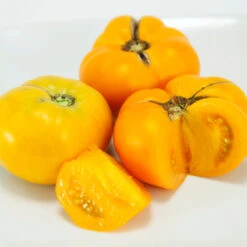 Brandywine Mix Tomato Seeds (Organic) -JulboCorona Trees Store yellow brandywine tomato web 2